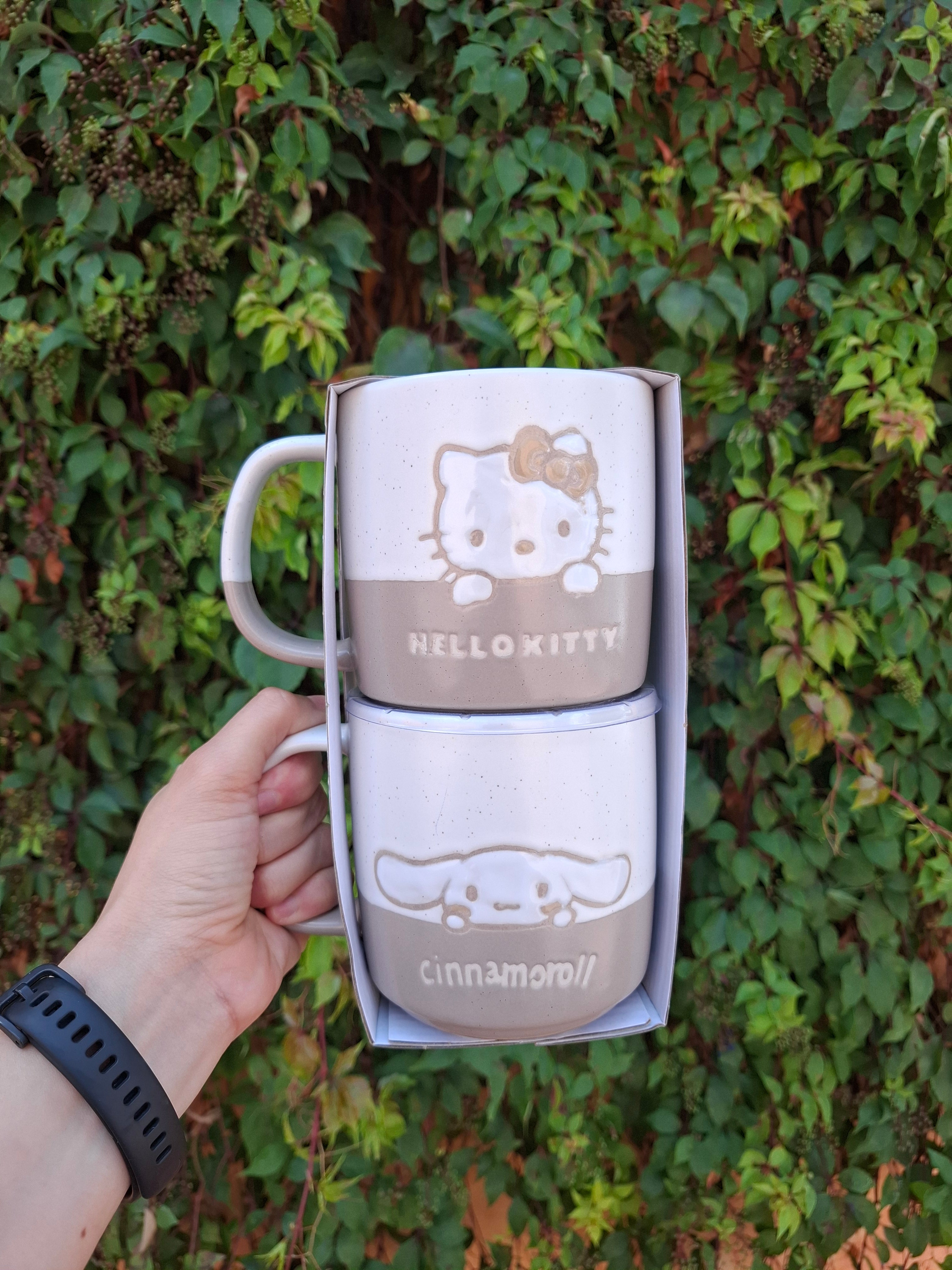 Juego de 2 tazas - Hello Kitty y Cinnamoroll