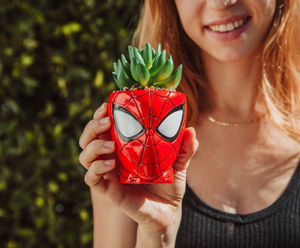 Mini maceta con suculenta artificial - Spider-Man